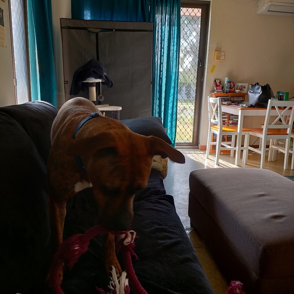 Meet your Posher, Michelle - Picture 3 of 4